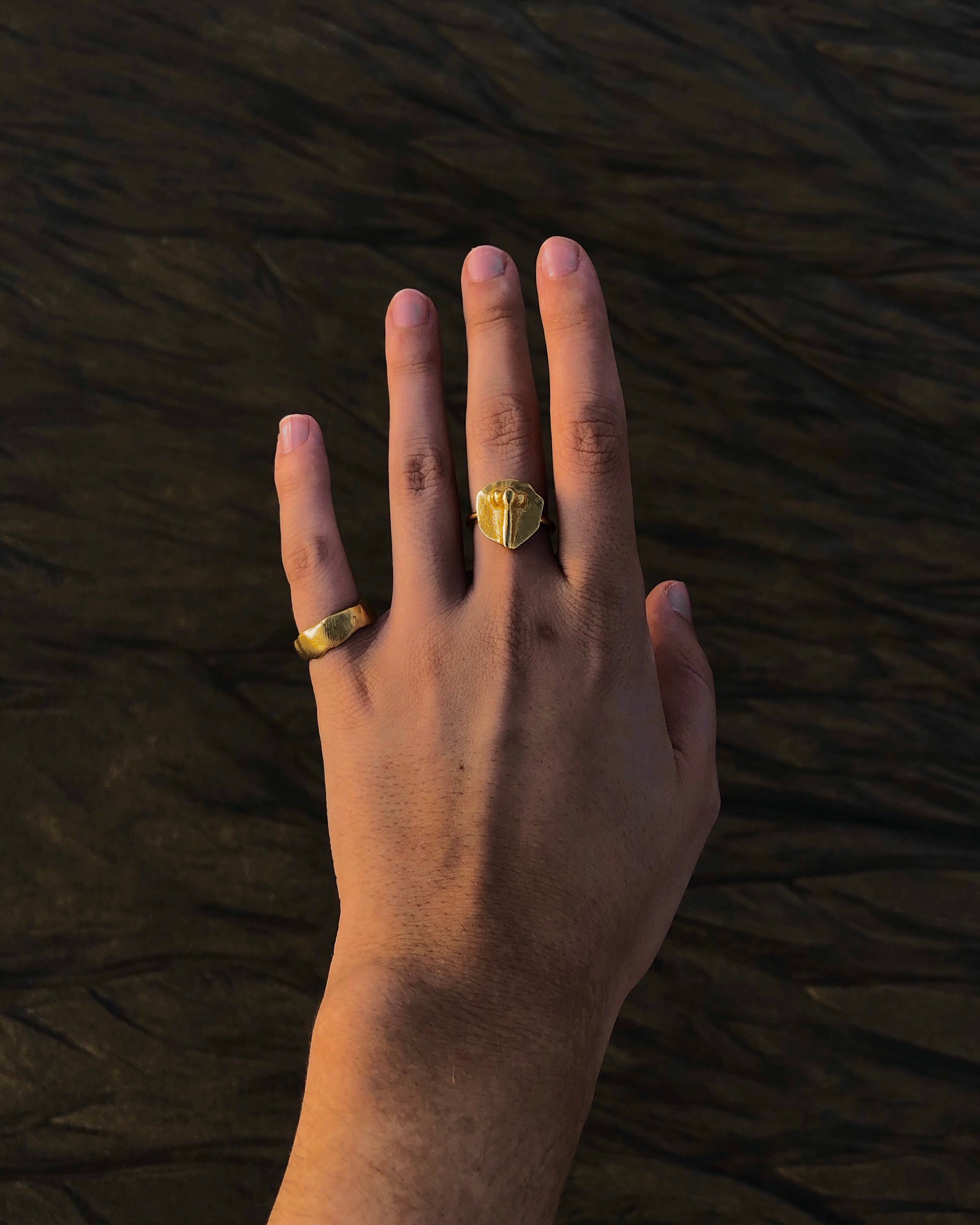LEFT HAND WITH TWO RINGS